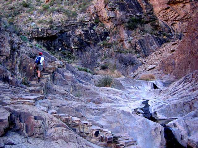 Visit Big Bend